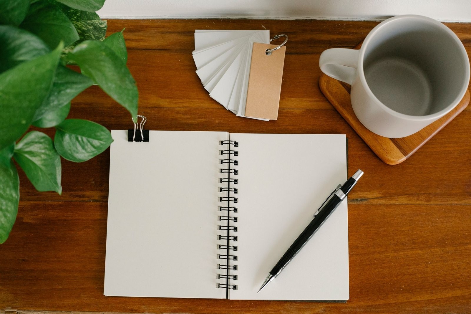 An open notebook and pen beside a plant